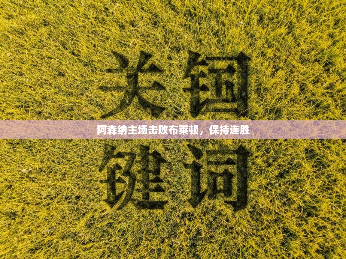阿森纳主场击败布莱顿，保持连胜  第1张