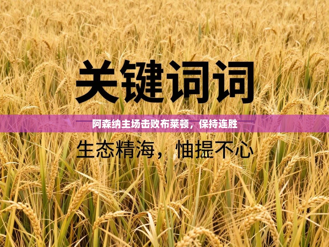 阿森纳主场击败布莱顿，保持连胜  第2张