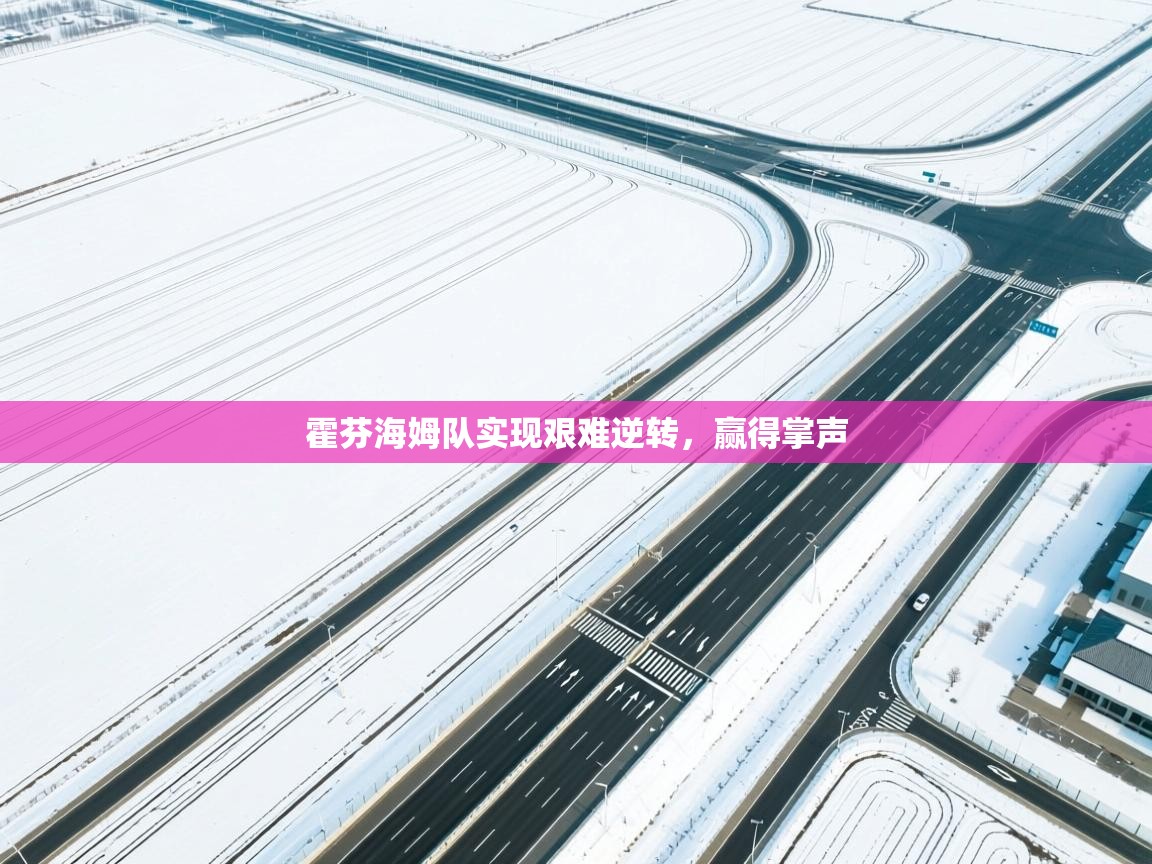 霍芬海姆队实现艰难逆转，赢得掌声  第1张