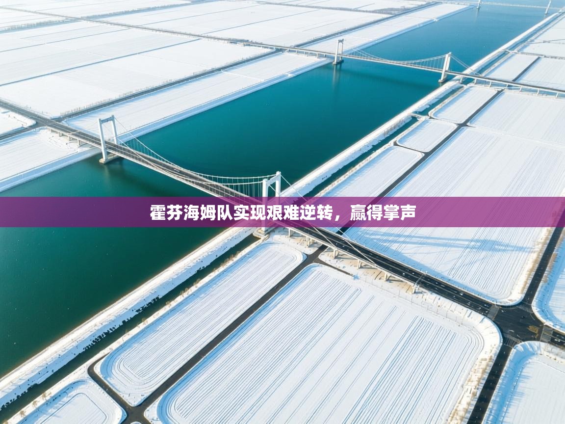 霍芬海姆队实现艰难逆转，赢得掌声  第2张