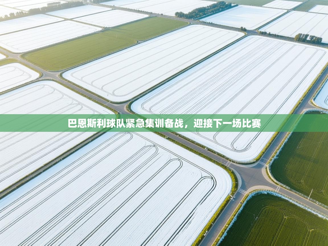 巴恩斯利球队紧急集训备战，迎接下一场比赛  第2张