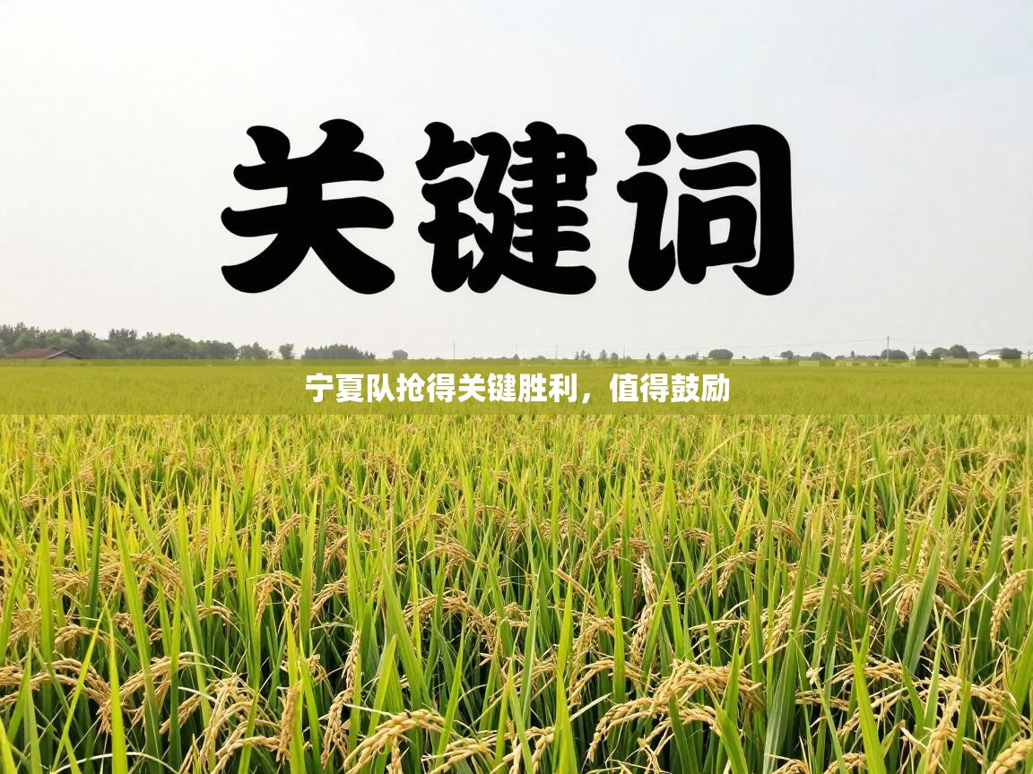 宁夏队抢得关键胜利，值得鼓励  第1张