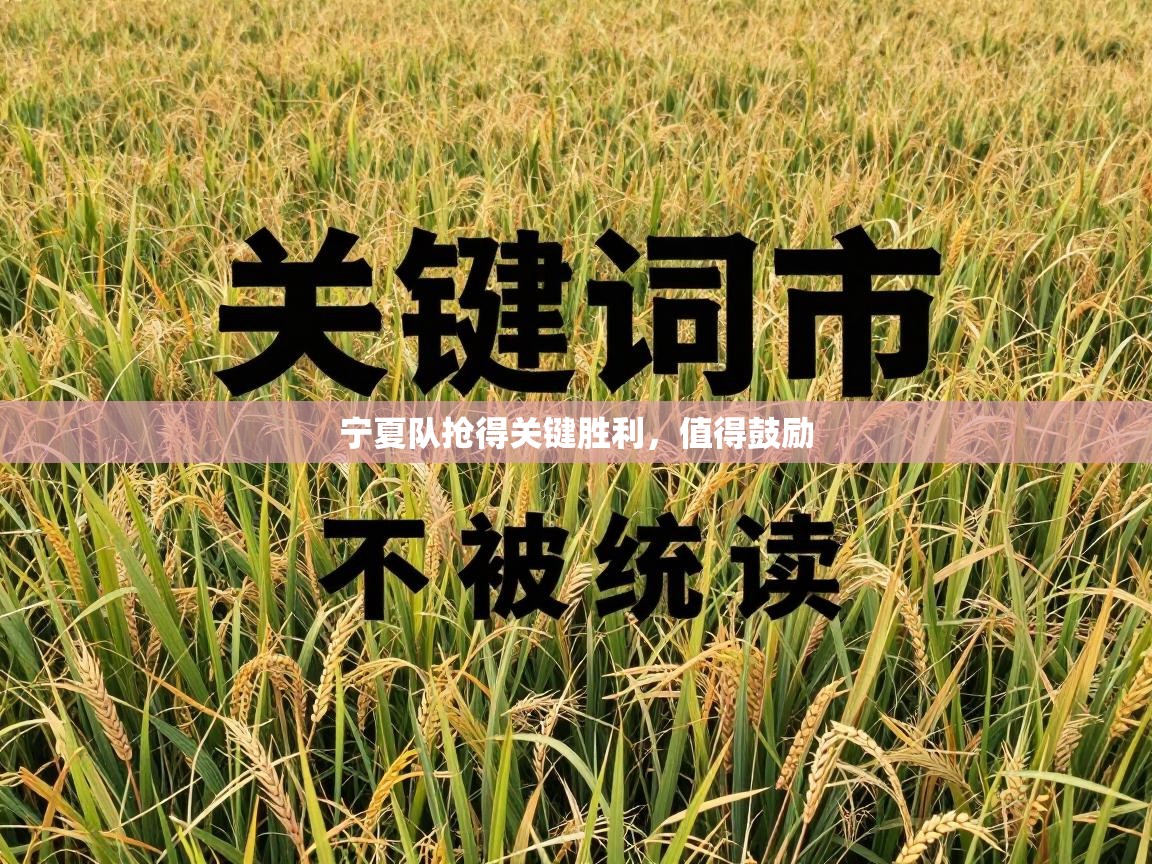 宁夏队抢得关键胜利，值得鼓励  第2张