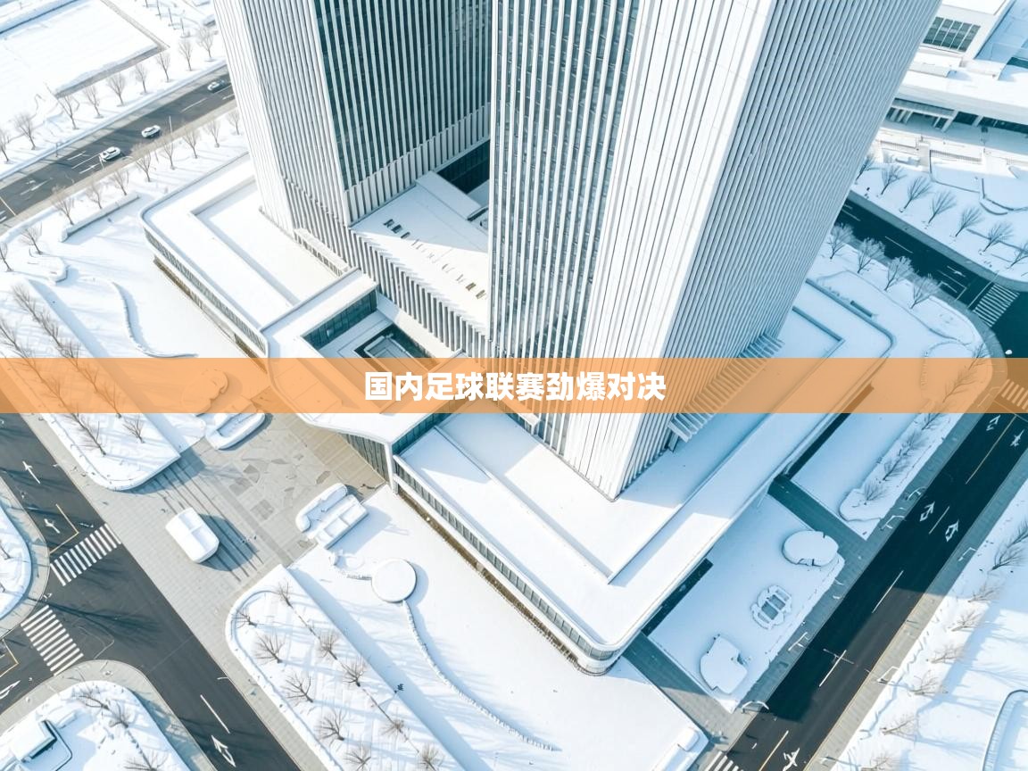 国内足球联赛劲爆对决  第1张