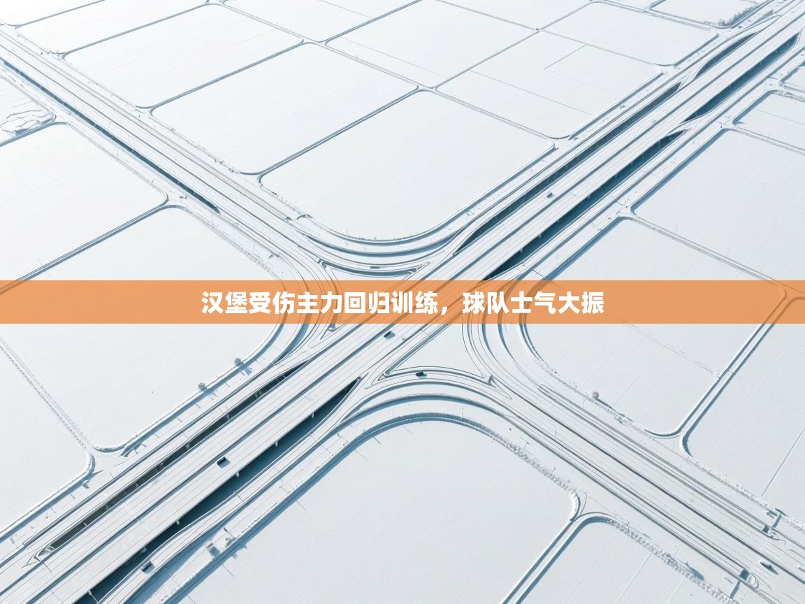 汉堡受伤主力回归训练，球队士气大振  第1张