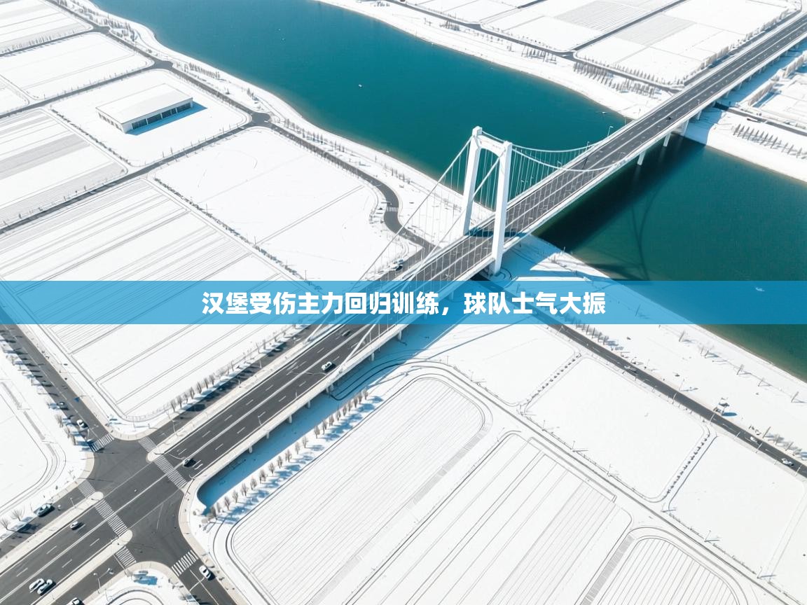 汉堡受伤主力回归训练，球队士气大振  第2张